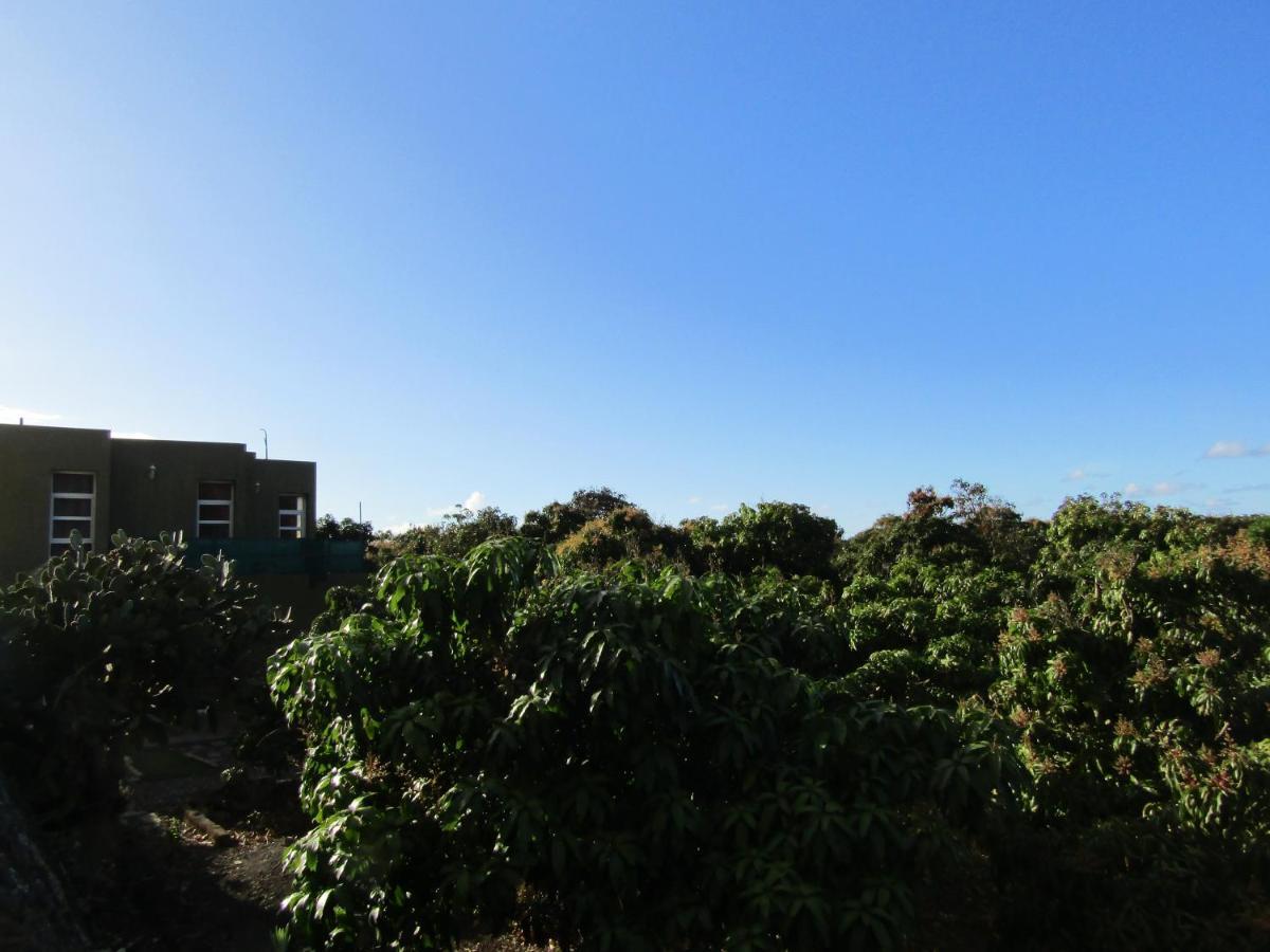 Apartments On An Organic Farm By The Coast, Frontera Ngoại thất bức ảnh